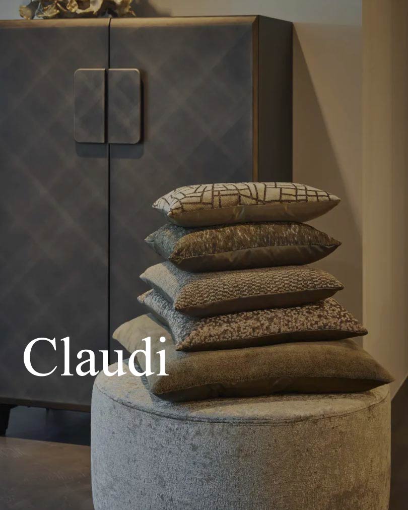 claudi slideshow